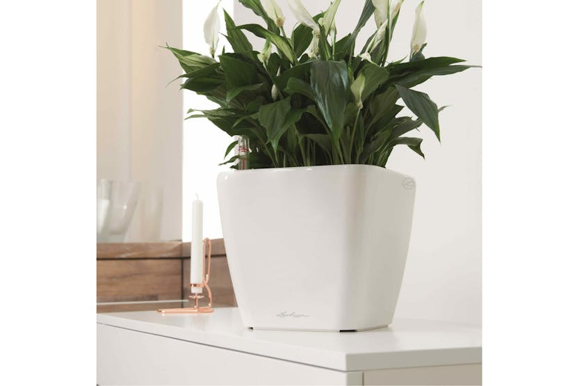 Lechuza 421478 Planter Quadro 35 Ls All-in-one High-gloss White 16160