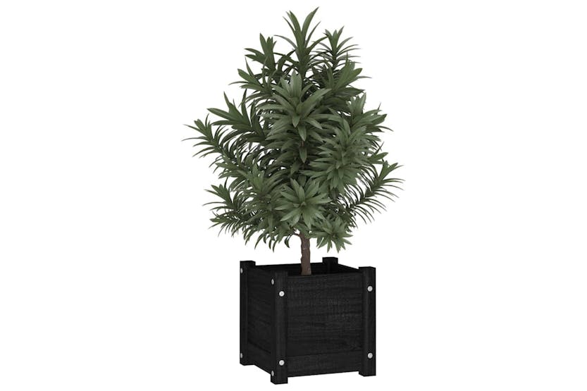 Vidaxl 810531 Garden Planters 2 Pcs Black 31x31x31 Cm Solid Pinewood