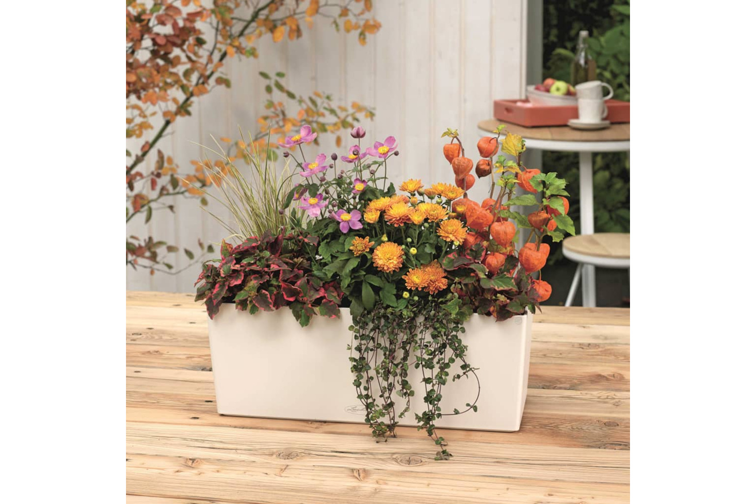Lechuza 421456 Planter Balconera Color 50 All-in-one White 15670