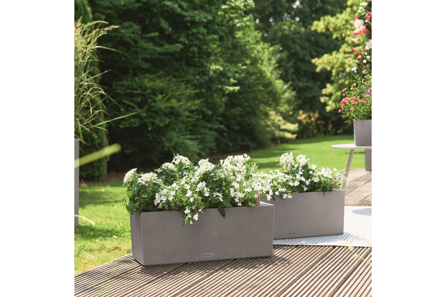 Lechuza Planter Balconera Stone 50 All-in-one Grey