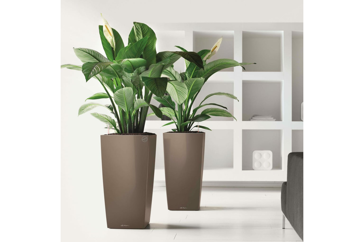 Lechuza 421492 Planter Cubico 40 All-in-one High-gloss Taupe 18215