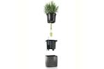 Lechuza 425622 Planters 3 Pcs Green Wall Home Kit Glossy Anthracite