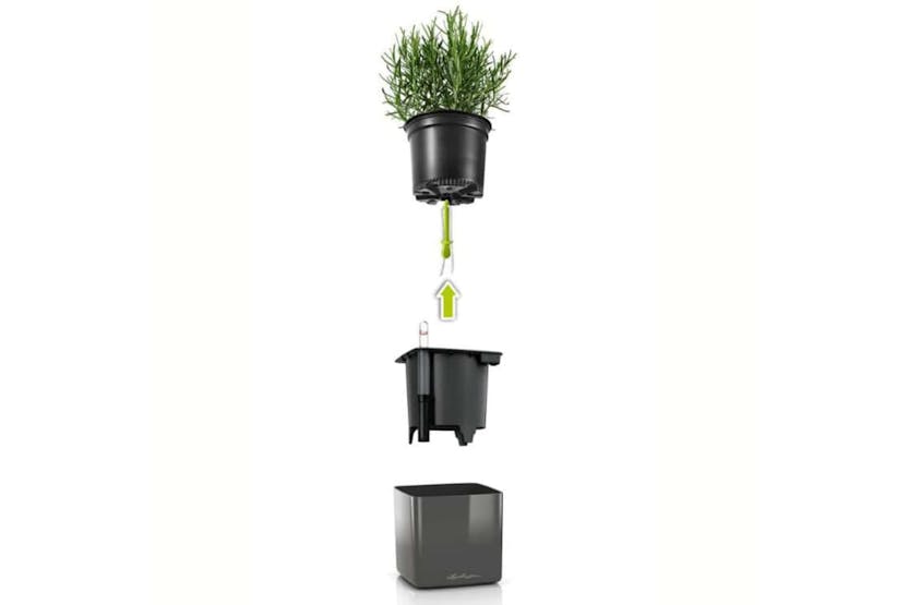 Lechuza 425622 Planters 3 Pcs Green Wall Home Kit Glossy Anthracite