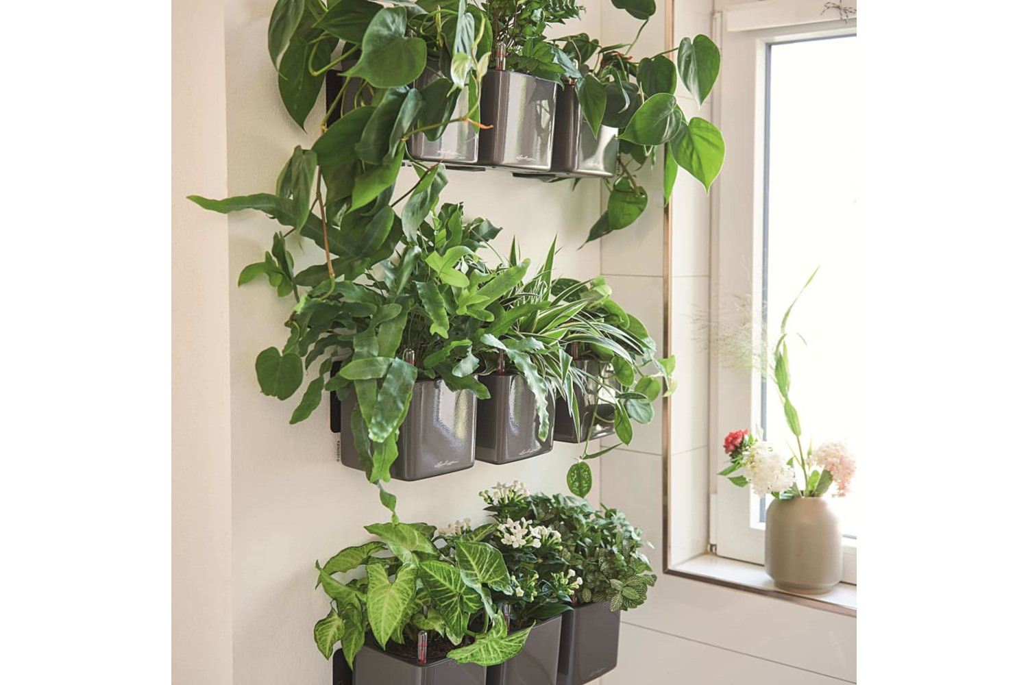 Lechuza 425622 Planters 3 Pcs Green Wall Home Kit Glossy Anthracite