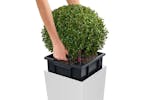 Lechuza 421424 Planter Cubico Color 30 All-in-one White 13130