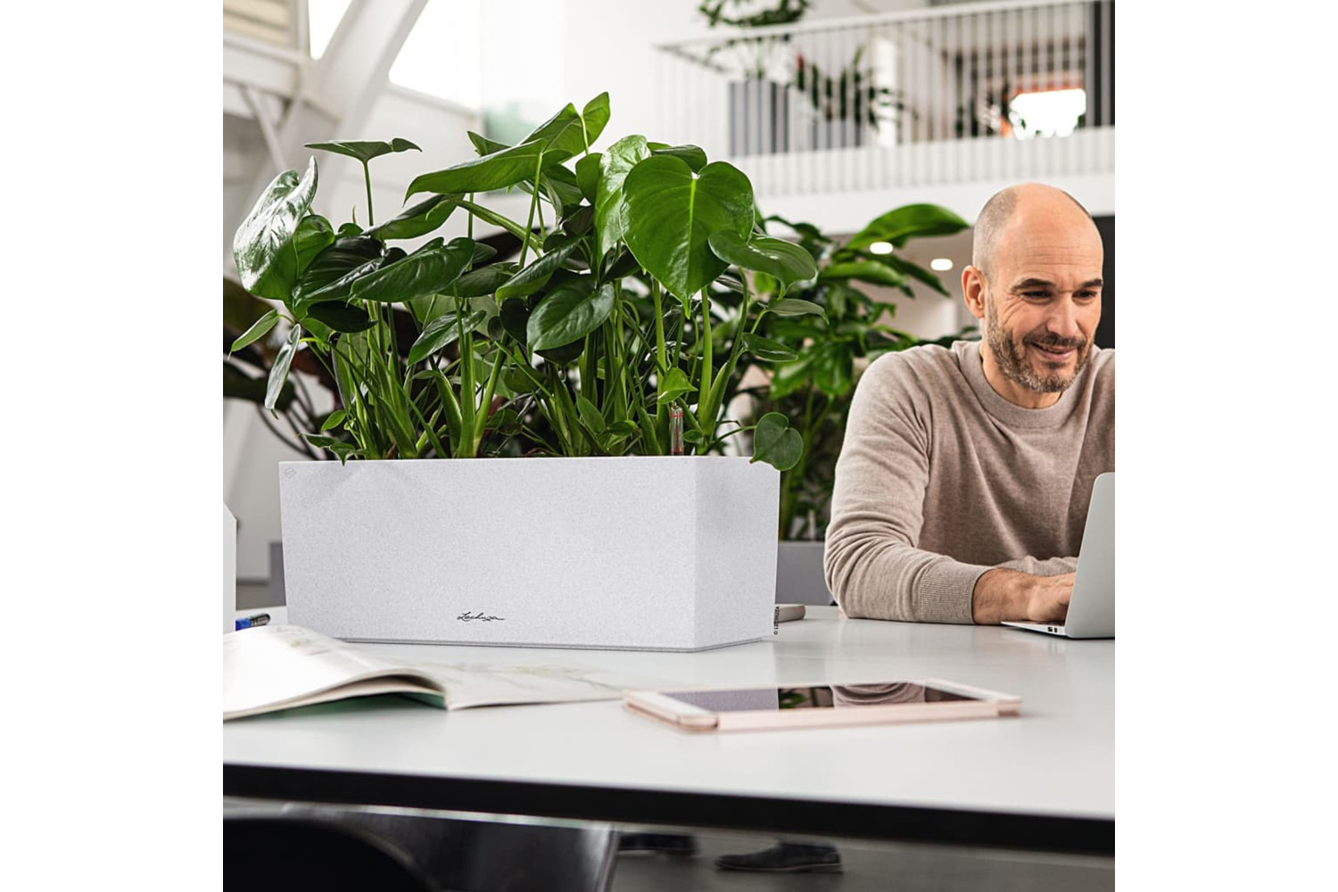 Lechuza 442091 Planter Balconera Stone 50 All-in-one Quartz White