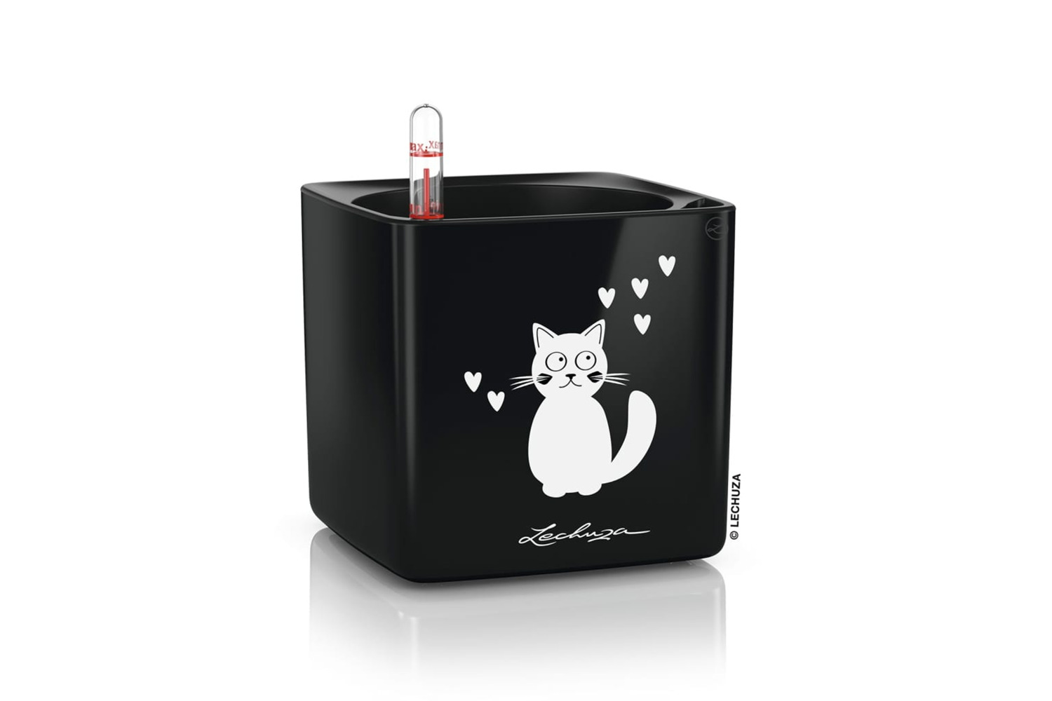 Lechuza Table Planter Cube Glossy Cat 14 All-in-one High Gloss Black