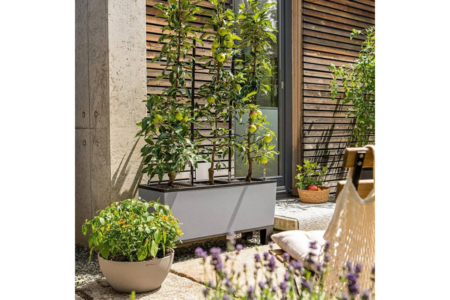 Lechuza 442075 Planter Trio Stone 30 All-in-one Stone Grey