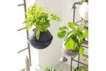Lechuza 443302 Hanging Planter Bola Color 23 All-in-one White