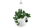 Lechuza 443302 Hanging Planter Bola Color 23 All-in-one White