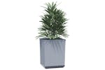 Vidaxl 364181 Planters 2 Pcs Light Grey 30x30x37 Cm Polypropylene