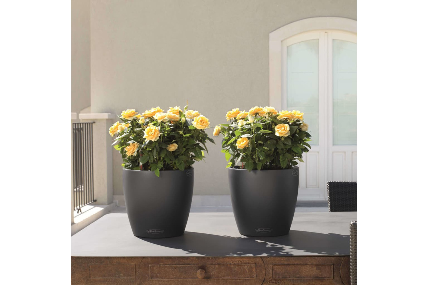 Lechuza 421435 Planter Classico Color 35 All-in-one Slate 13224