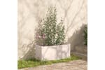 Vidaxl 810727 Garden Planters 2 Pcs White 100x50x50 Cm Solid Pinewood