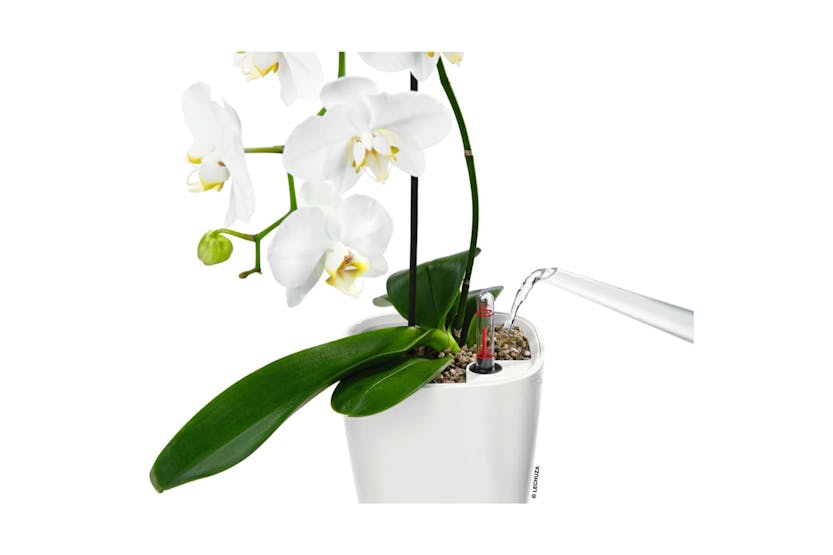 Lechuza 443315 Planter Deltini All-in-one High-gloss White