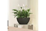 Lechuza 421450 Planter Cubeto Color 40 All-in-one Graphite Black 13842