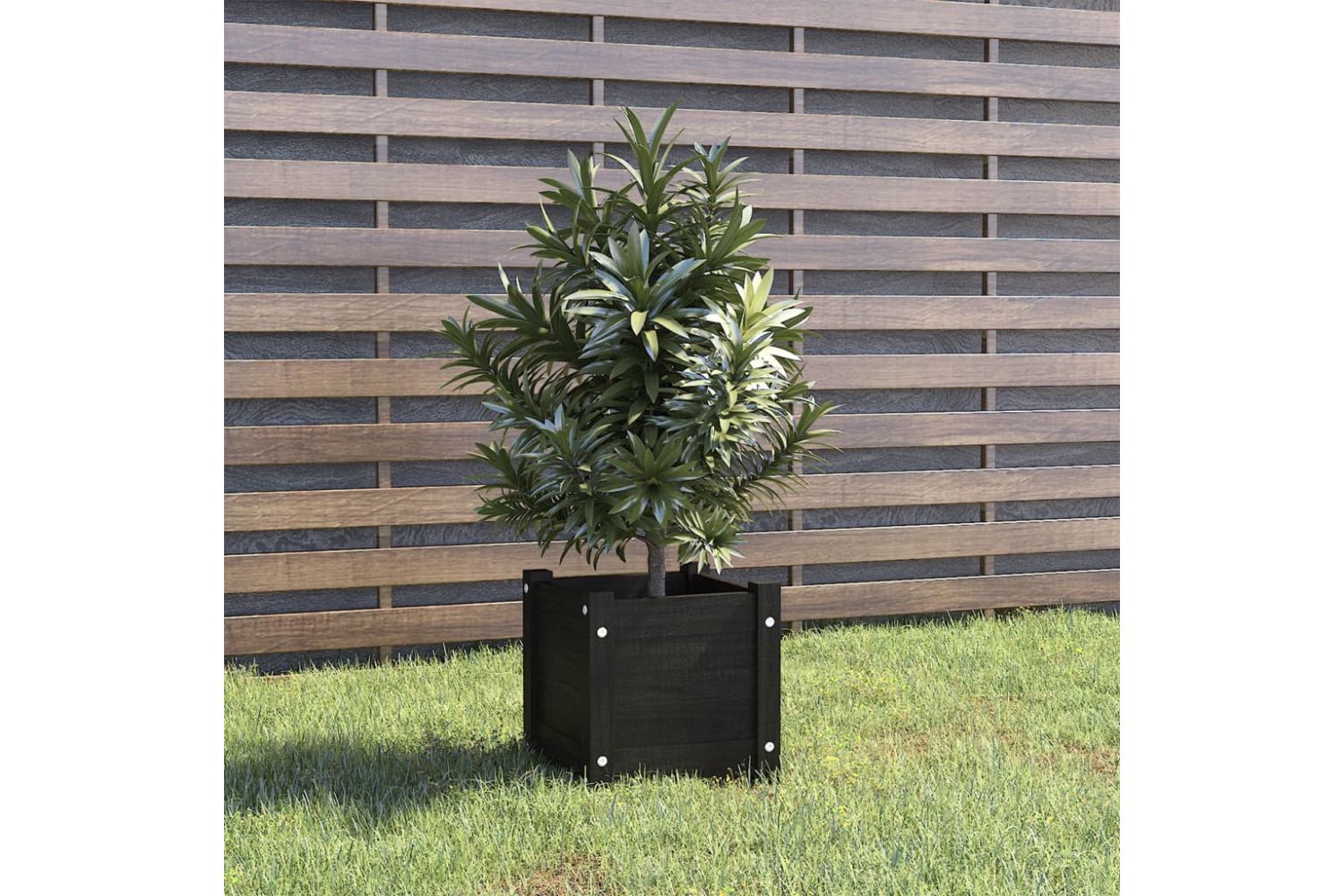 vidaXL 810530 Garden Planter Black 31x31x31cm Solid Pinewood