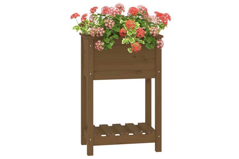 Vidaxl 823755 Planter With Shelf Honey Brown 54x34.5x81 Cm Solid Wood Pine