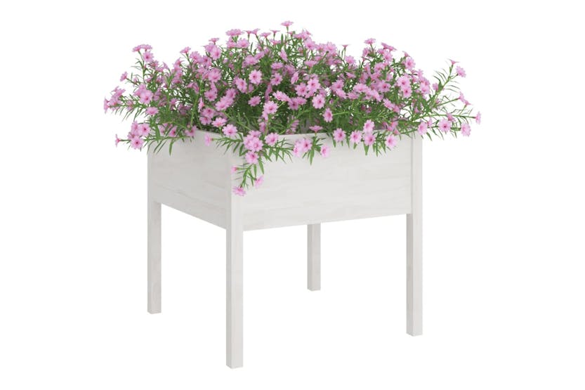 Vidaxl 810812 Garden Planters 2 Pcs White 70x70x70 Cm Solid Pinewood