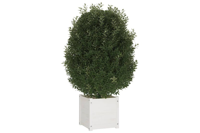 Vidaxl 810536 Garden Planter White 40x40x40 Cm Solid Pinewood