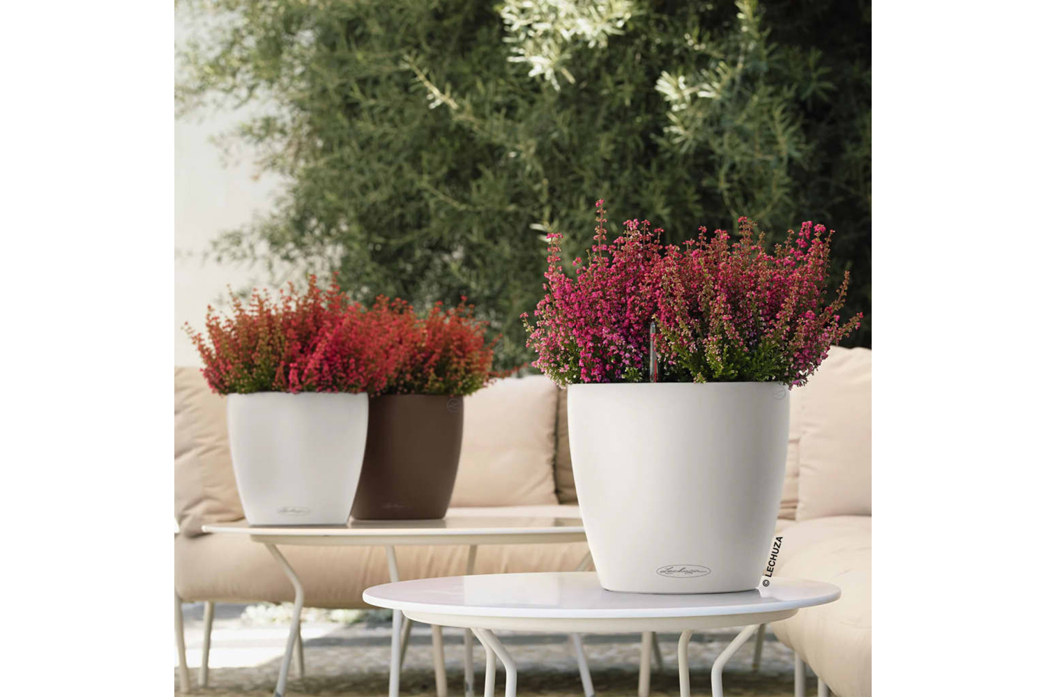 Lechuza Planter Classico Color 21 All-in-one White