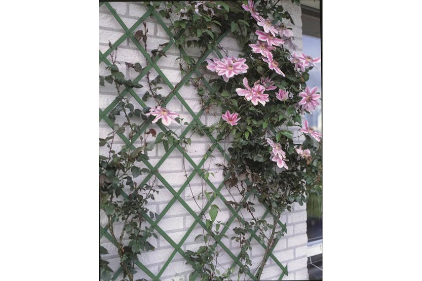 Nature 409351 Garden Trellis 100x200 Cm Pvc Green 6040704