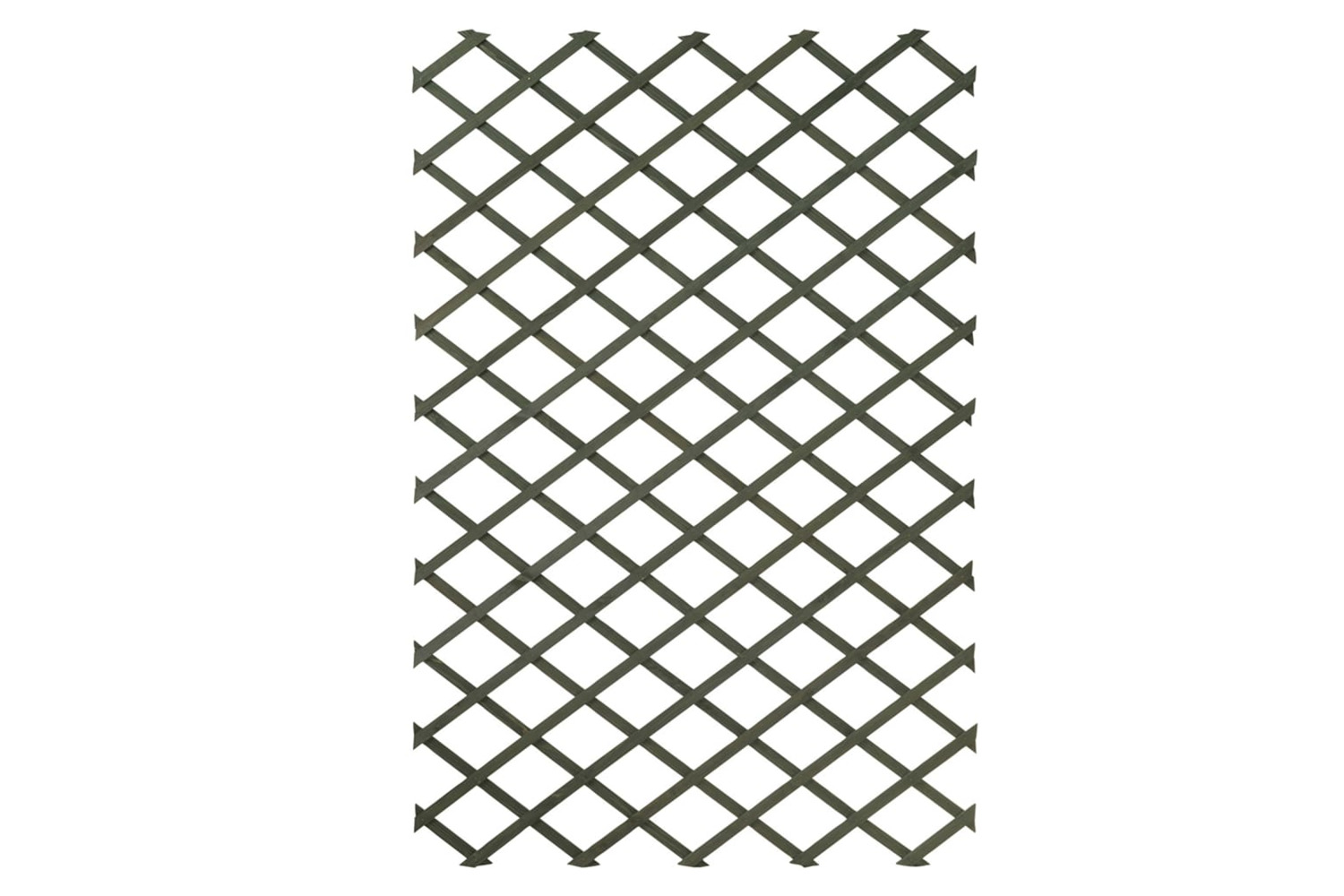 Nature 276935 2 Pcs Garden Trellises 100x200 Cm Wood Green