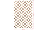 Nature 409346 Garden Trellis 100x200 Cm Wood Natural 6041703