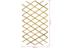 Nature 409345 Garden Trellis 100x200 Cm Bamboo 6040722