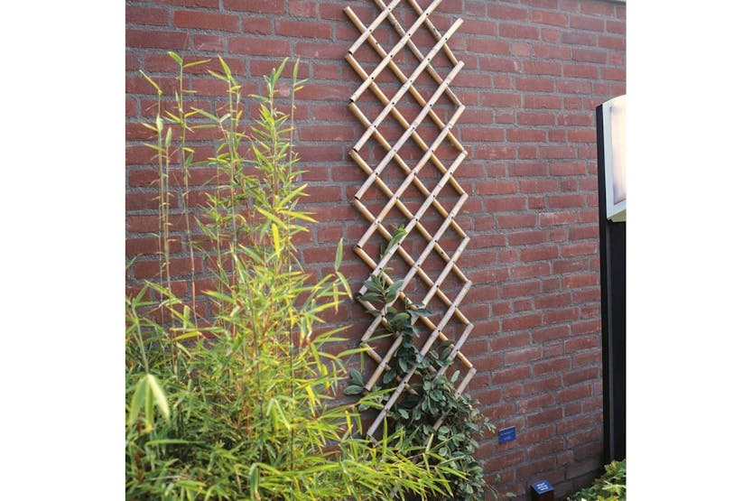 Nature 409344 Garden Trellis 70x180 Cm Bamboo 6040721