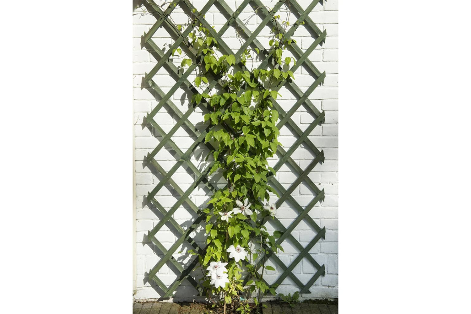 Nature 419737 Garden Trellis 50x150 Cm Wood Green