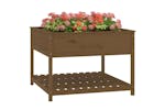 Vidaxl 823804 Planter With Shelf Honey Brown 111.5x111.5x81 Cm Solid Wood Pine