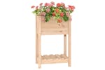 Vidaxl 823752 Planter With Shelf 54x34.5x81 Cm Solid Wood Pine