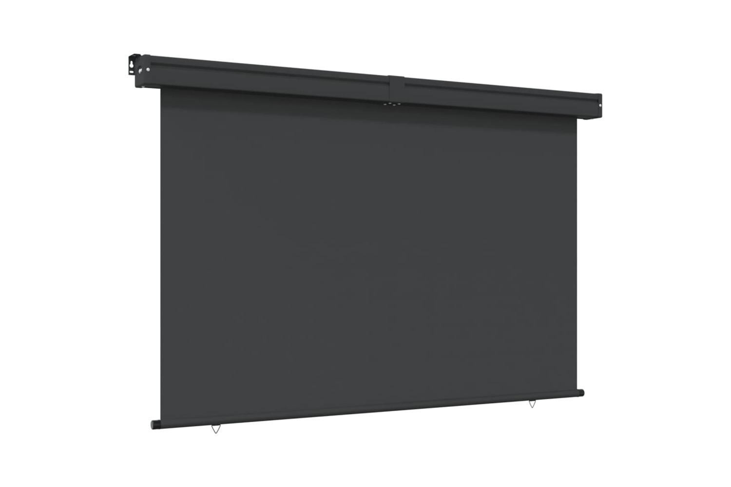vidaXL Balcony Side Awning 165x250cm Black