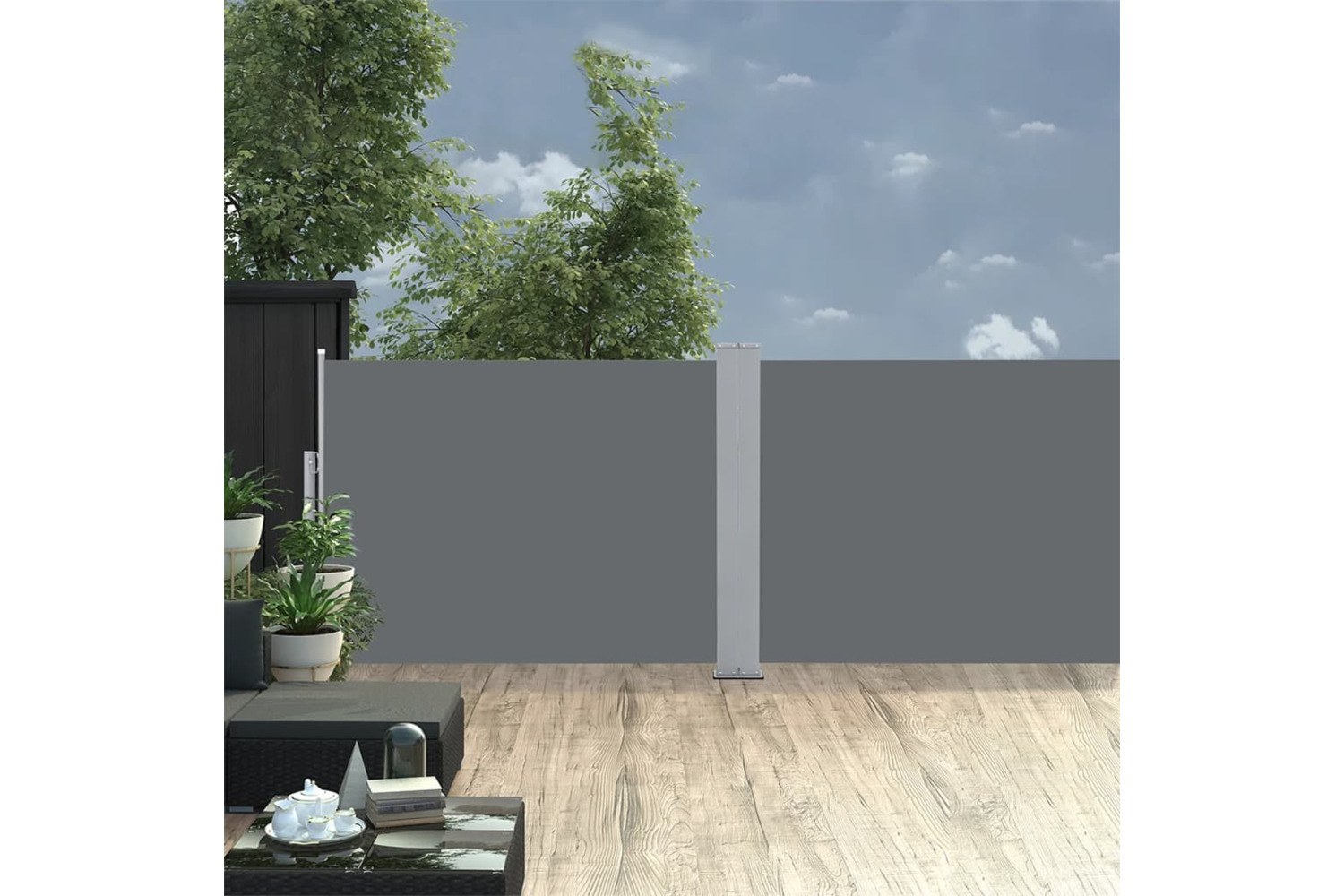 vidaXL 48474 Retractable Side Awning Anthracite 100x1000cm