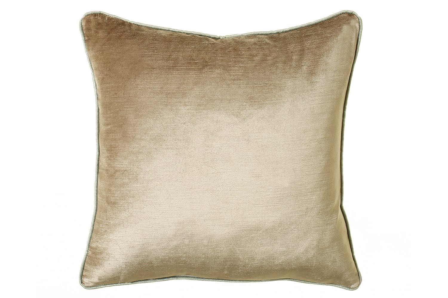 Velvet Sheen Cushion
