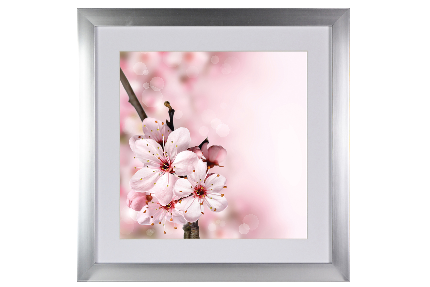 Blossom I. Printed Art | 50x50cm