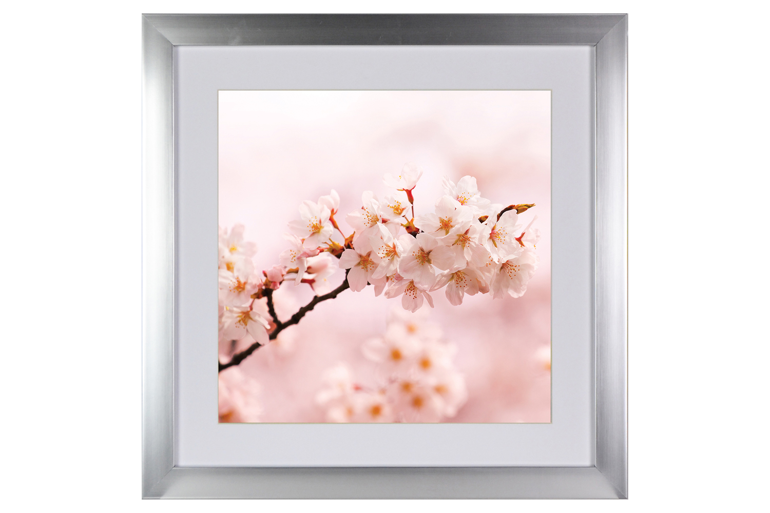 Blossom Iii. Printed Art | 50x50cm