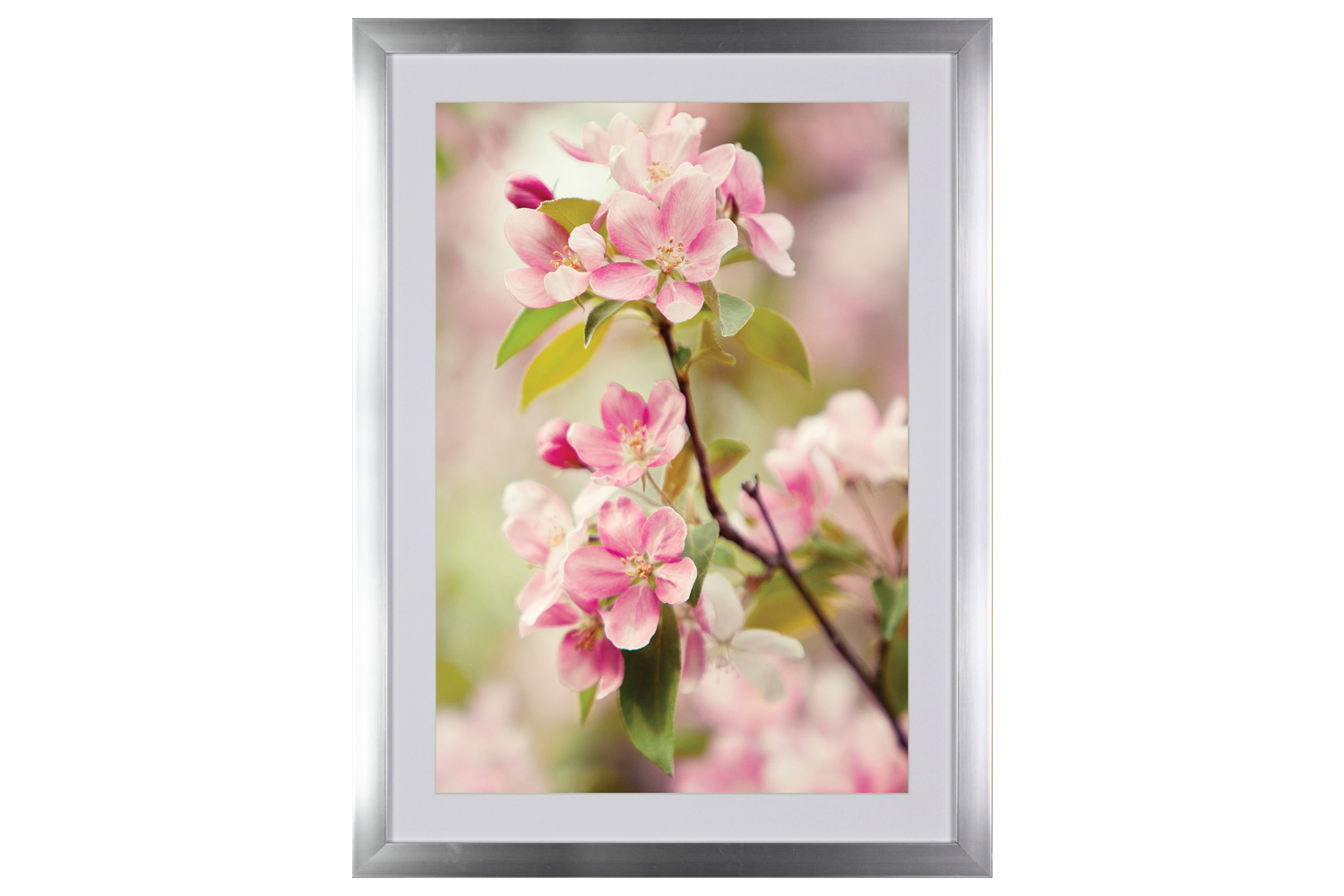 Blossom Iv. Printed Art | 60x80cm