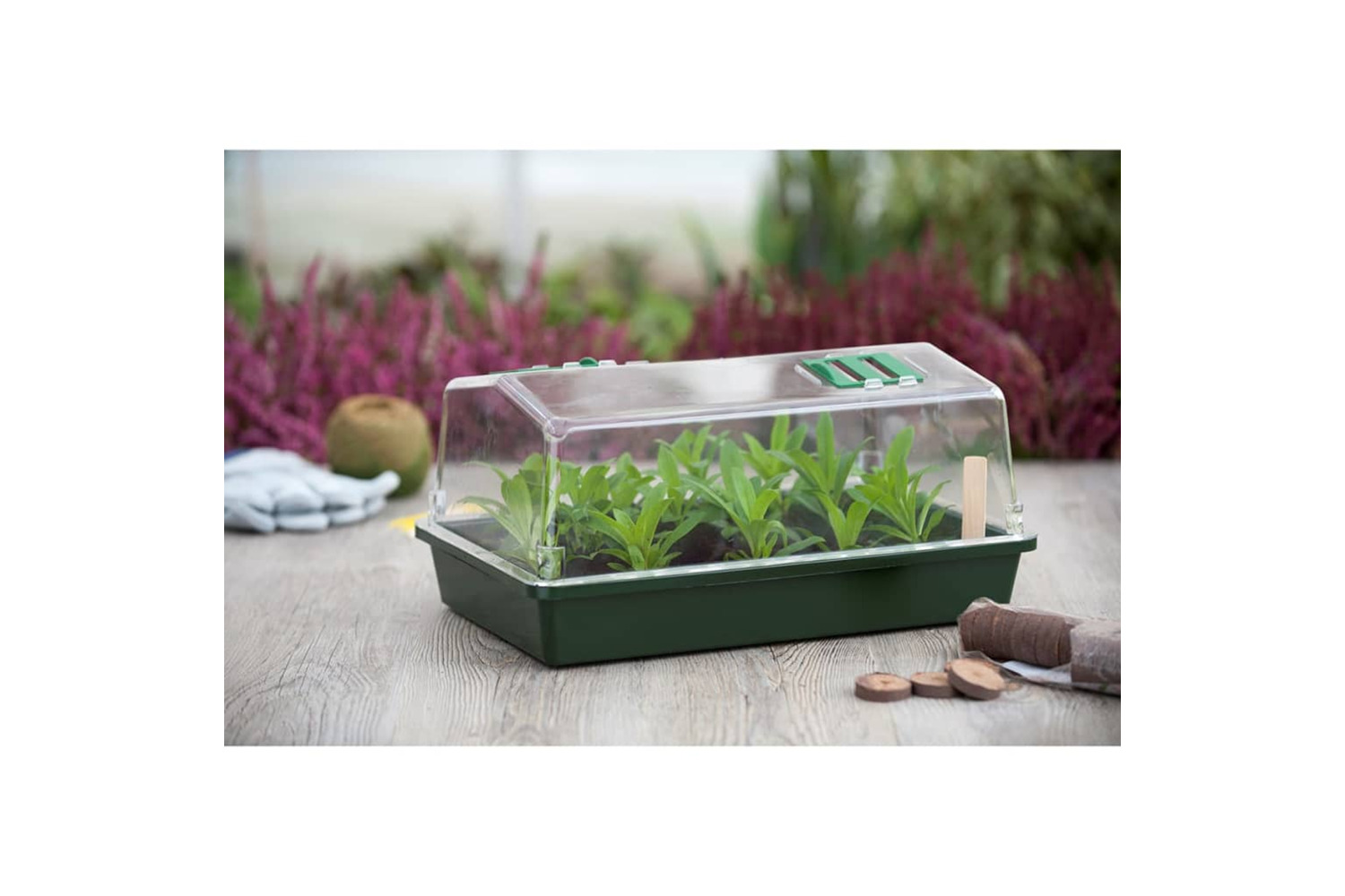 Nature 409317 Propagator 55x31x21 Cm