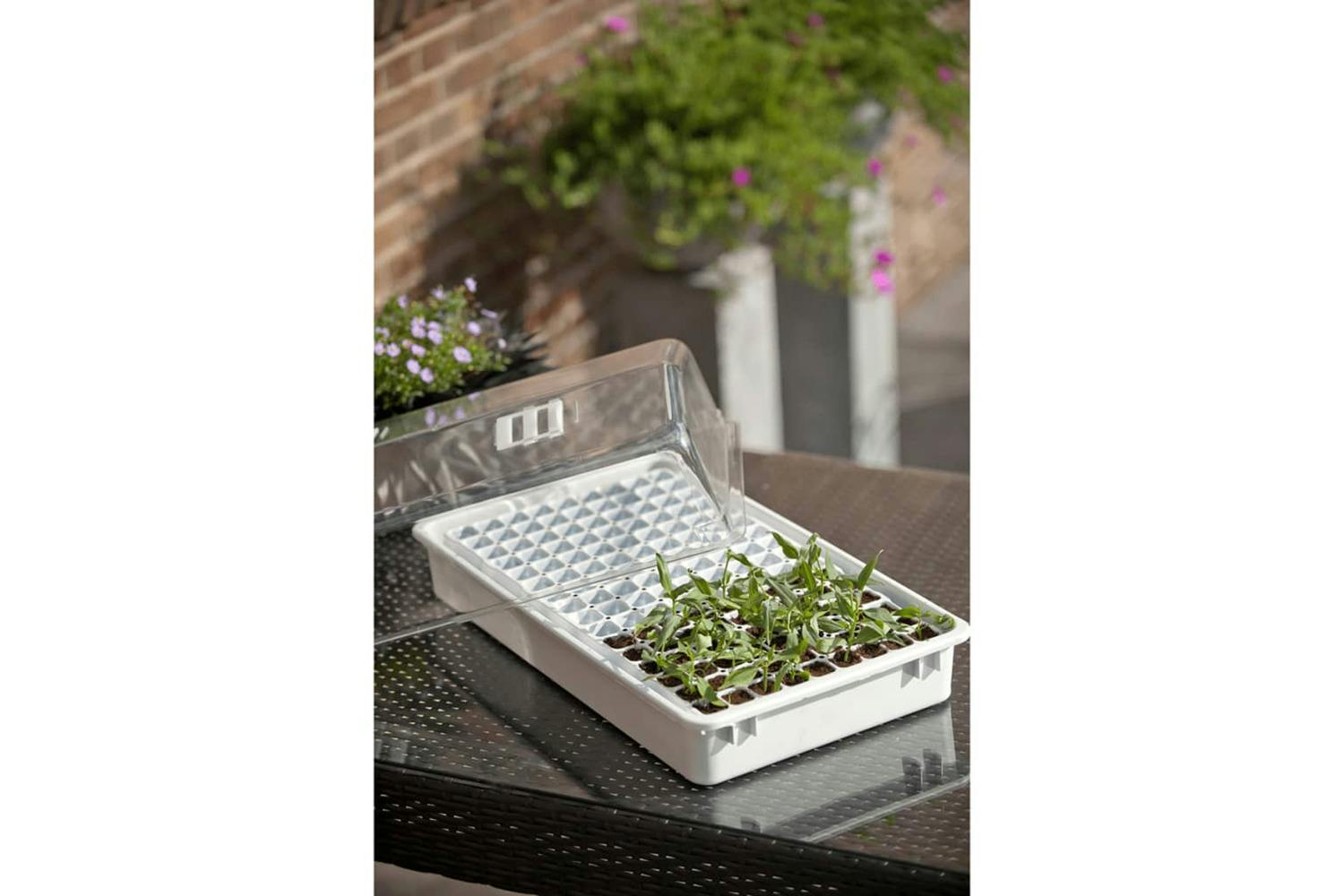 Nature 409319 Propagator Set 55x31x22 Cm 6020203