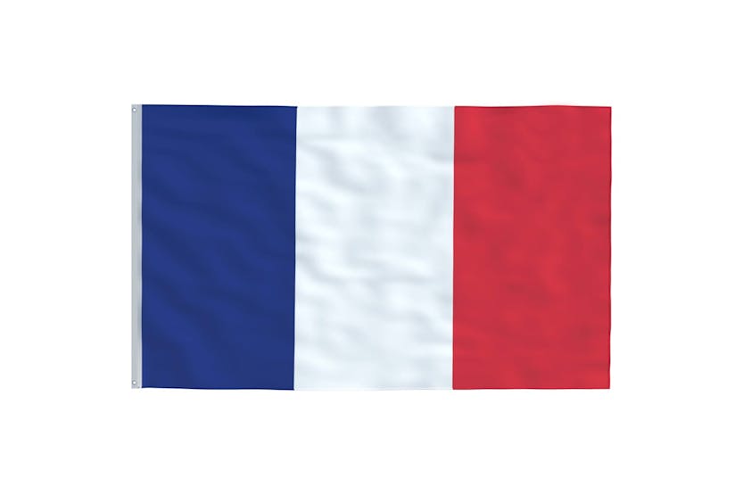 Vidaxl 3147123 France Flag And Pole 5.55 M Aluminium