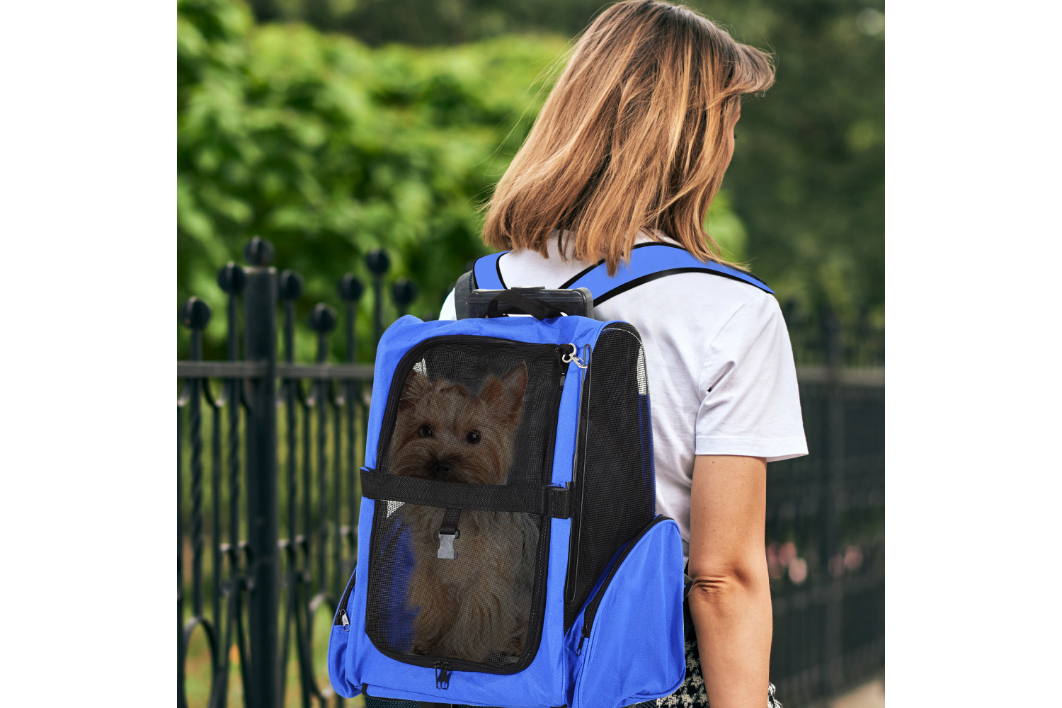 PawHut D1-0011 Dog Travel Crate Stroller | Blue