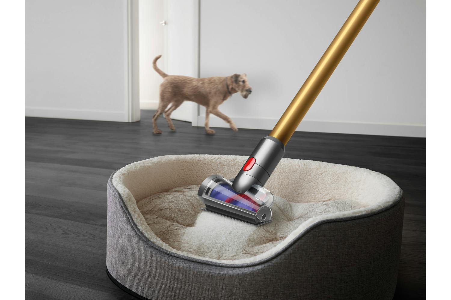 Dyson V12 Detect Slim Review - 6 Objective Tests 