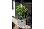 Capi 424210 Planter Nature Rib Square 30x30 Cm Anthracite Kofz902