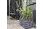 Capi 424260 Planter Nature Row Square 40x40 Cm Anthracite Krwz903