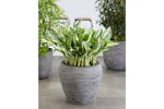 Capi 424216 Vase Nature Rib Tapered 42x38 Cm Anthracite Kofz362