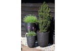 Capi 424235 Egg Planter Nature Rib 54x52 Cm Black Kblr935