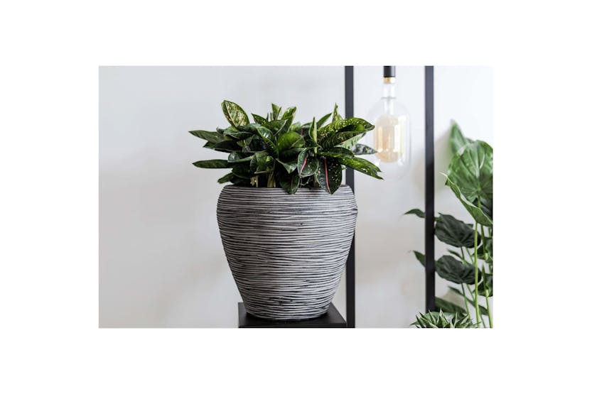 Capi 424216 Vase Nature Rib Tapered 42x38 Cm Anthracite Kofz362