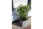 Capi 424211 Planter Nature Rib Square 40x40 Cm Anthracite Kofz903