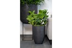 Capi 424235 Egg Planter Nature Rib 54x52 Cm Black Kblr935